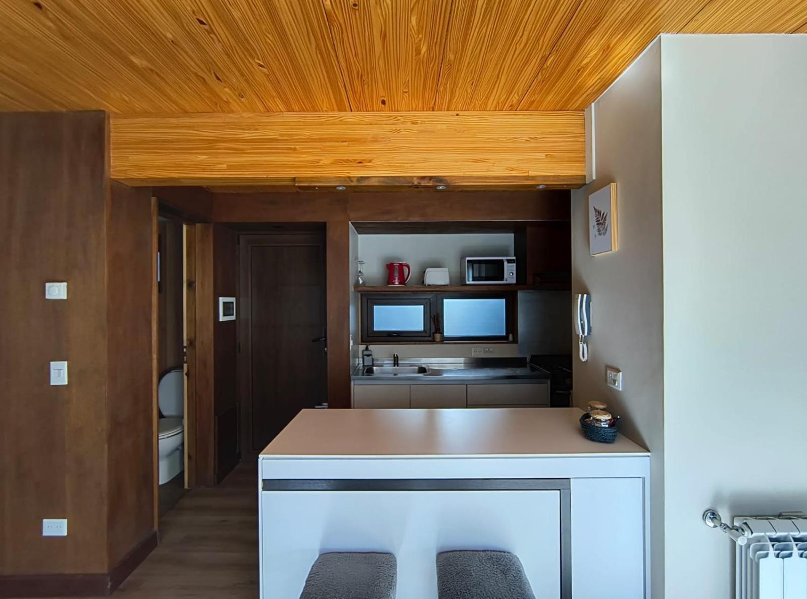 Rahue, Monoambiente Centrico Con Patio Propio Apartment San Martin de los Andes Bagian luar foto